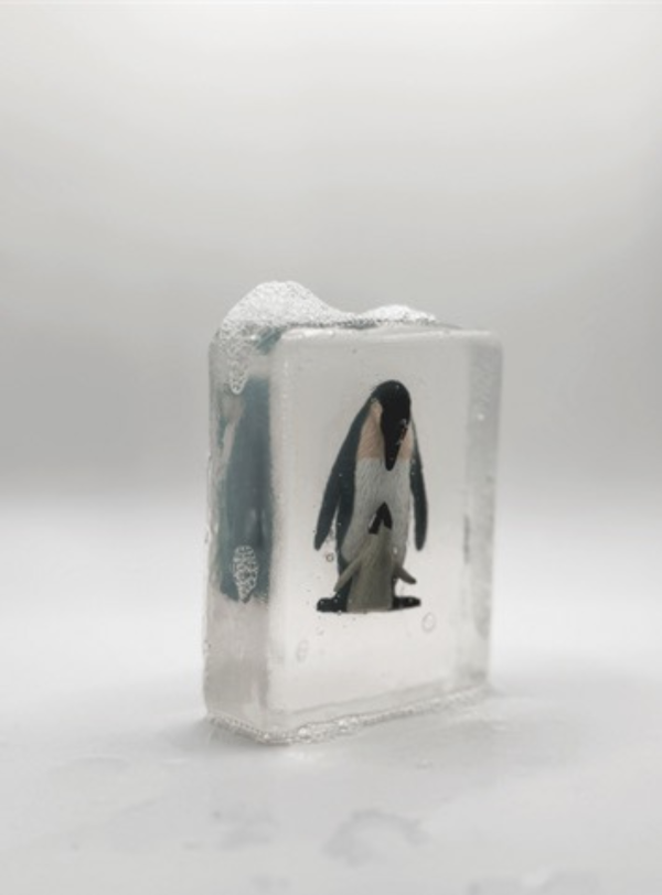 Savon MAMAN & BEBE PINGOUIN