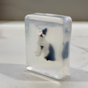 Savon CHAT