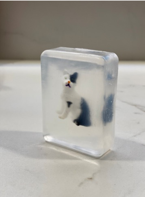 Savon CHAT