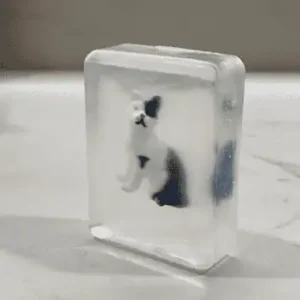 Savon-chat Savon CHAT