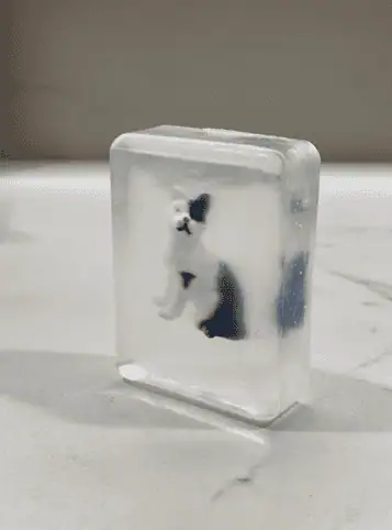 Savon CHAT